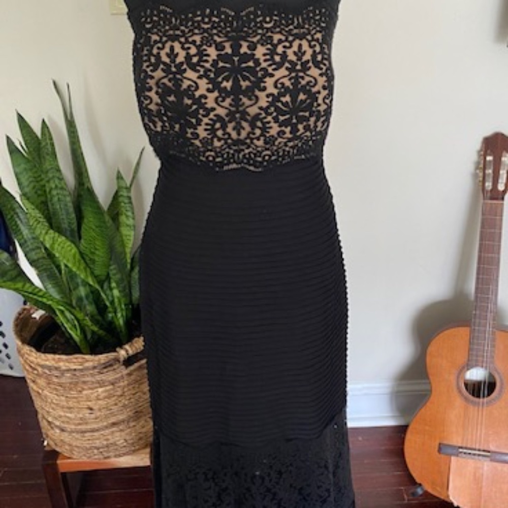 Goregeous Tadashi Shoji gown worn once